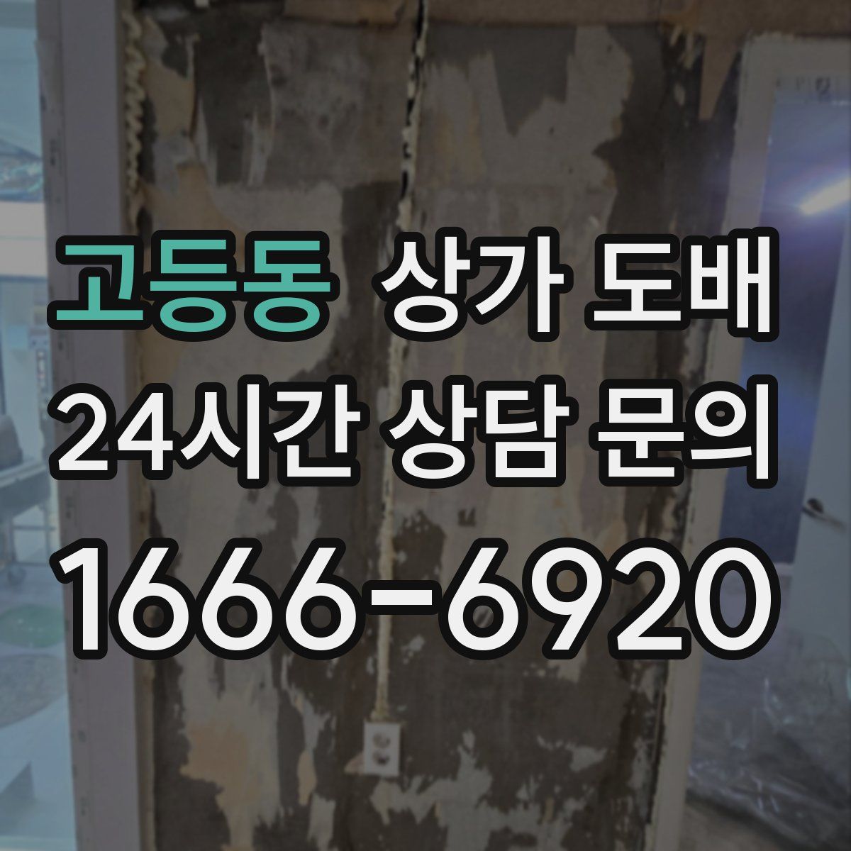 고등동 상가 도배