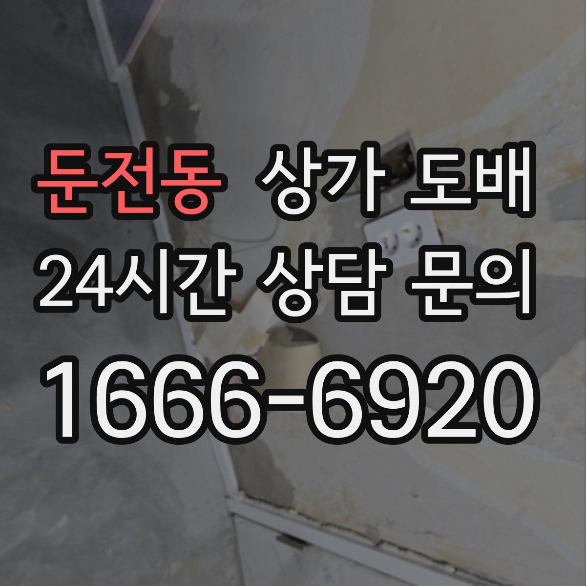둔전동 상가 도배