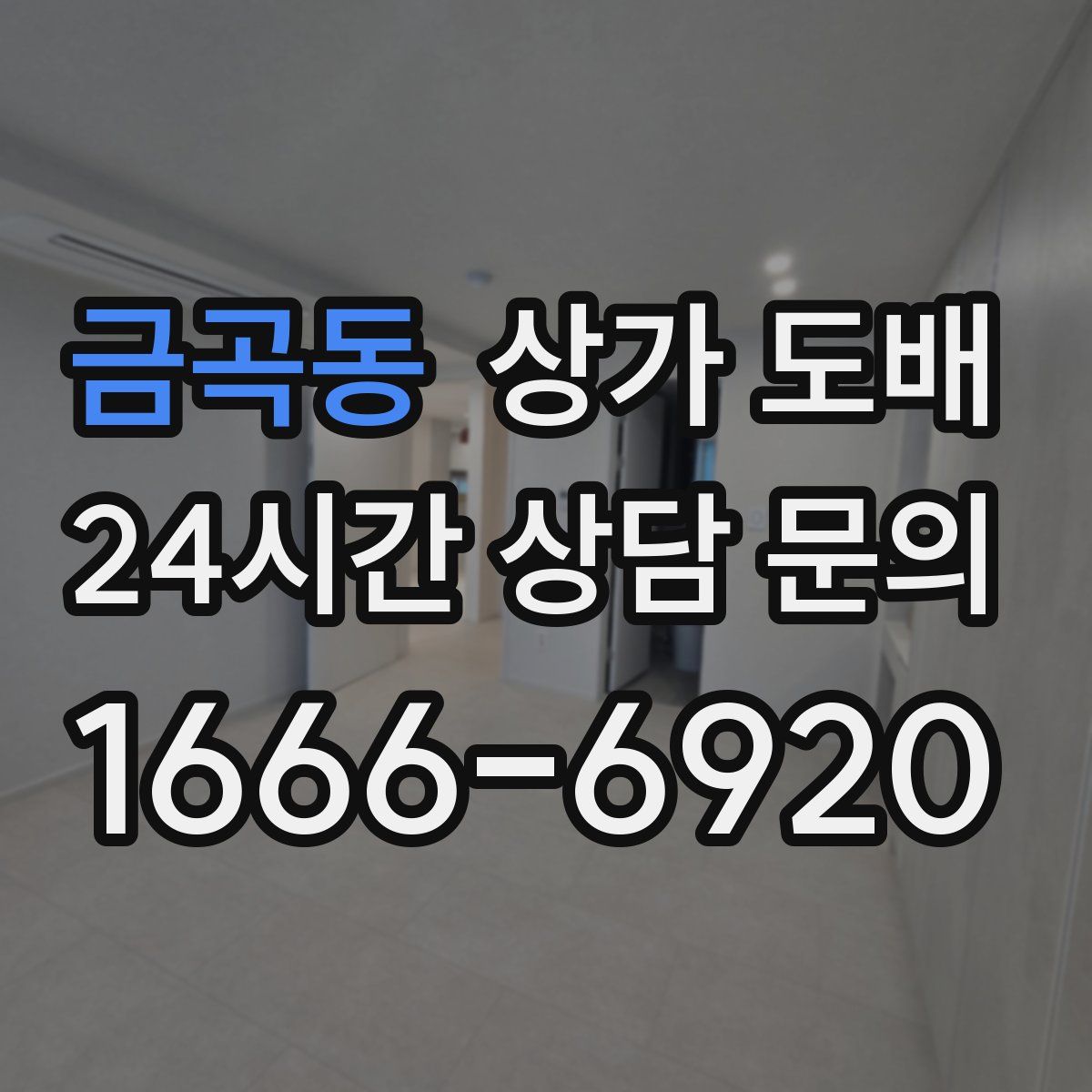 금곡동 상가 도배
