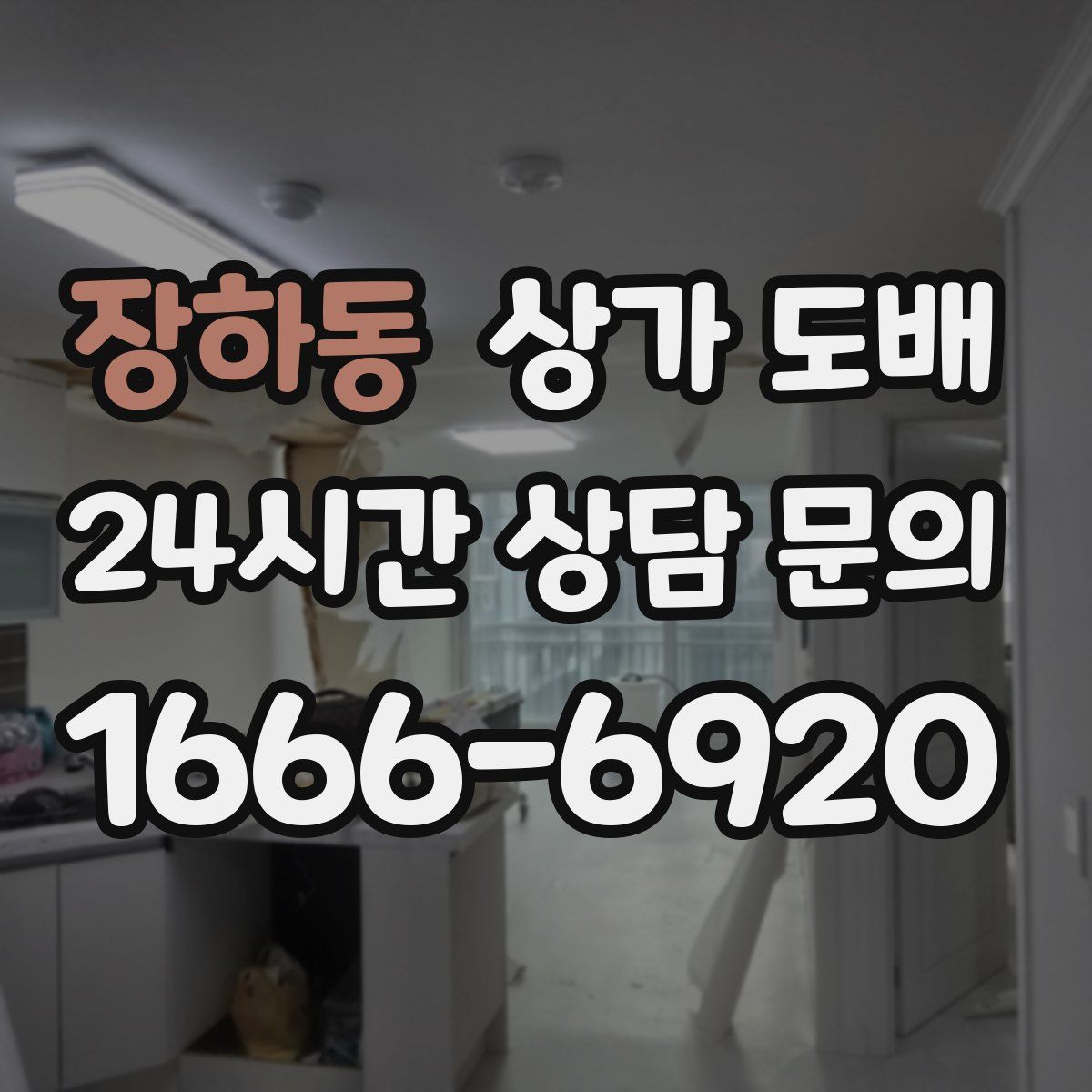 장하동 상가 도배