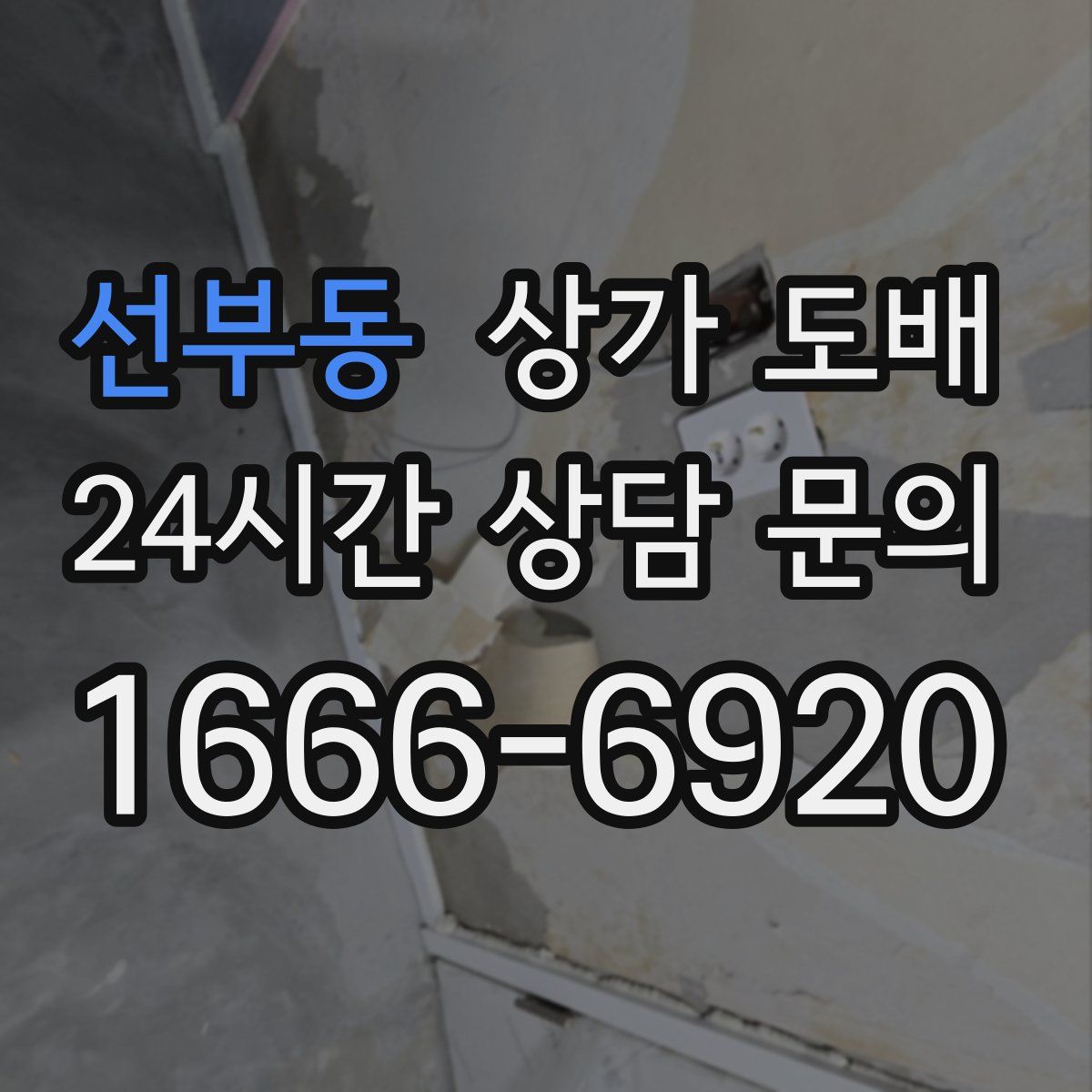 선부동 상가 도배