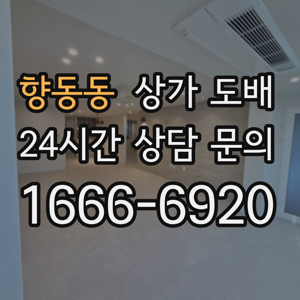 향동동 상가 도배