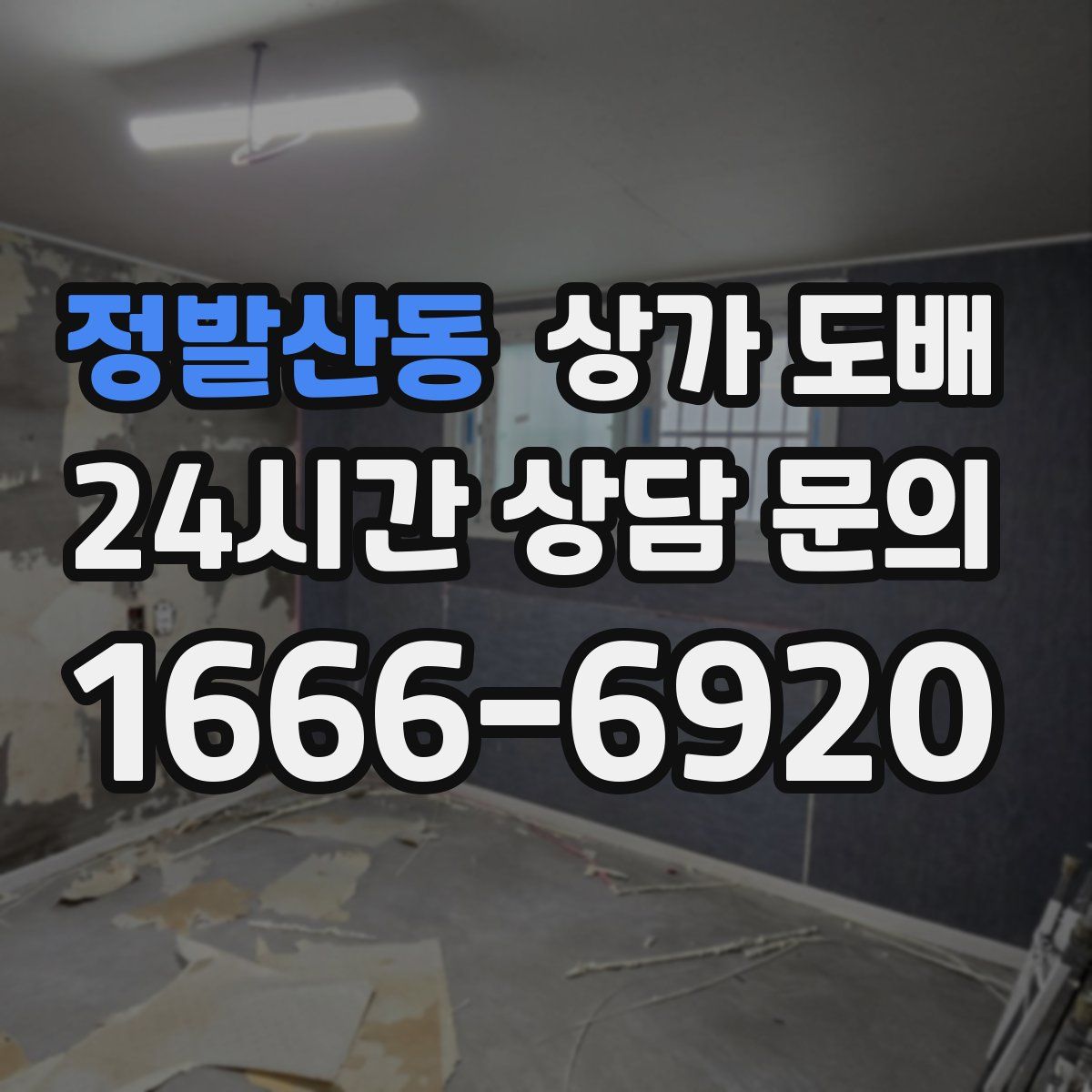 정발산동 상가 도배