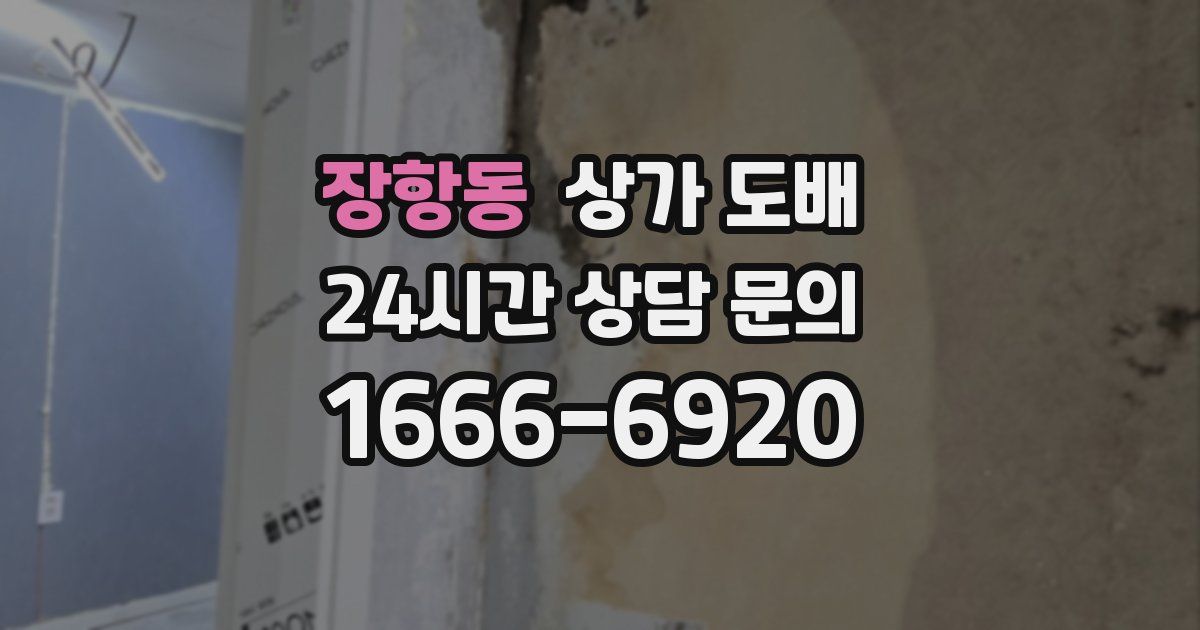 장항동 상가 도배