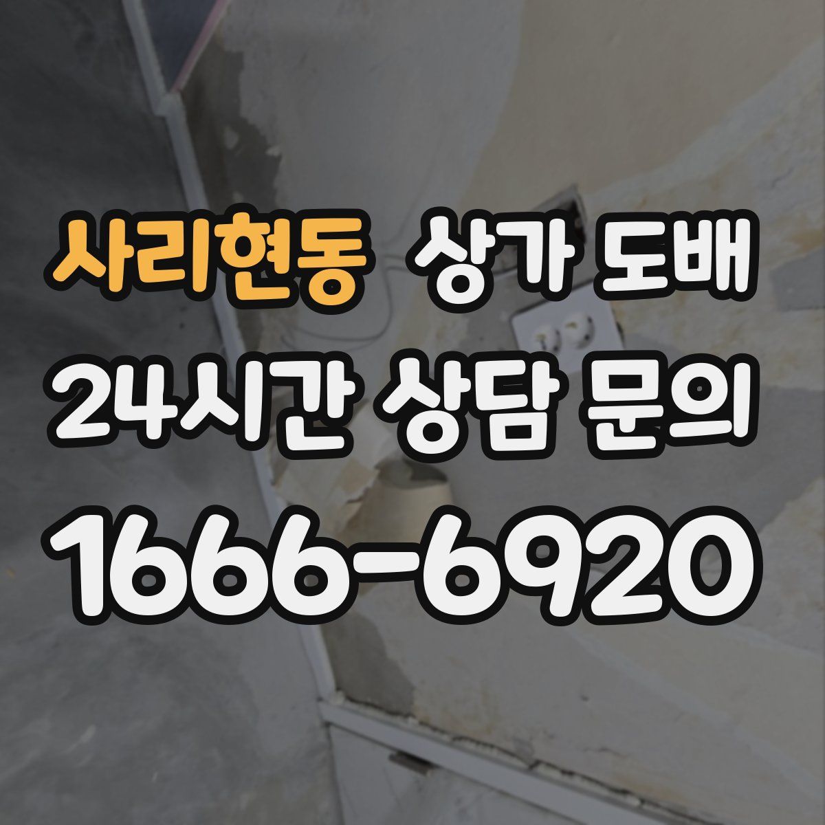사리현동 상가 도배