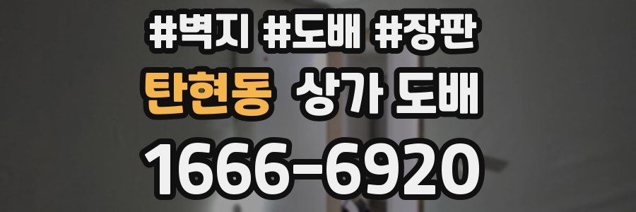 탄현동 상가 도배