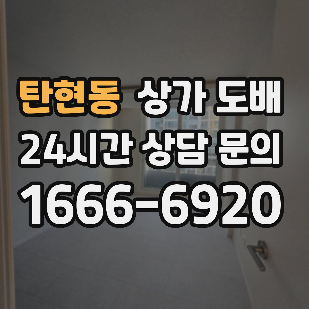탄현동 상가 도배