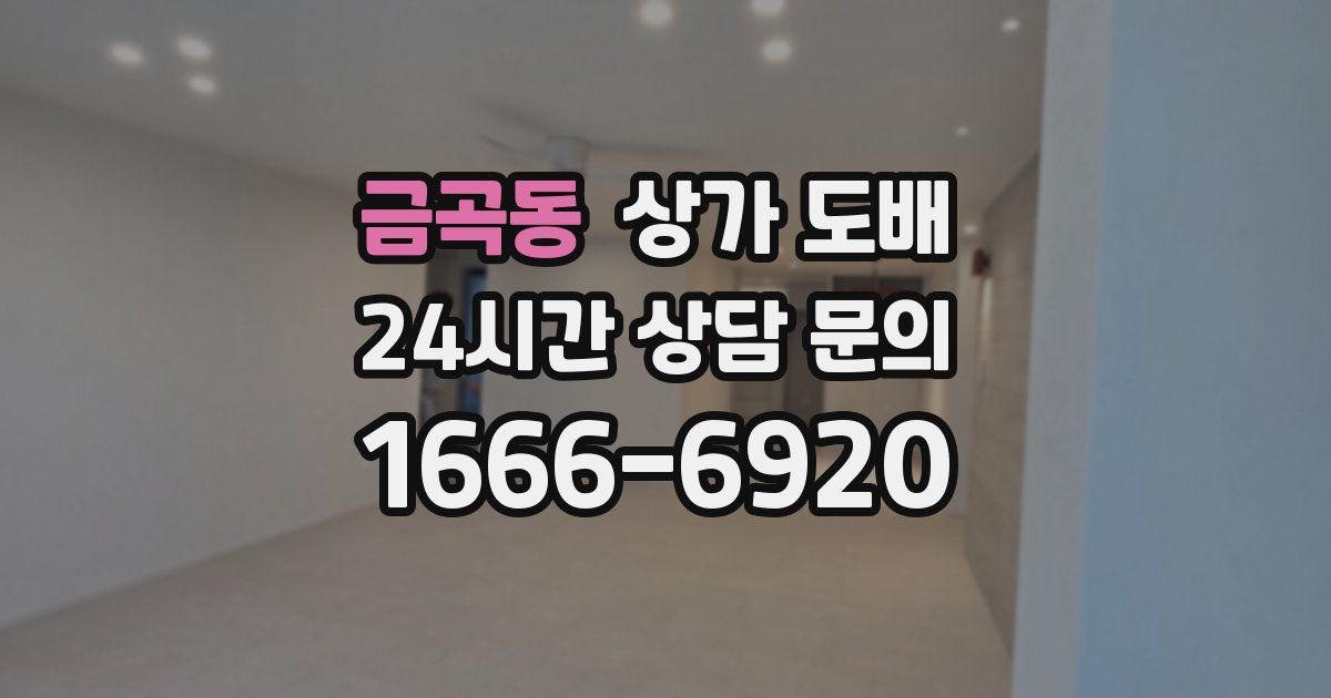 금곡동 상가 도배