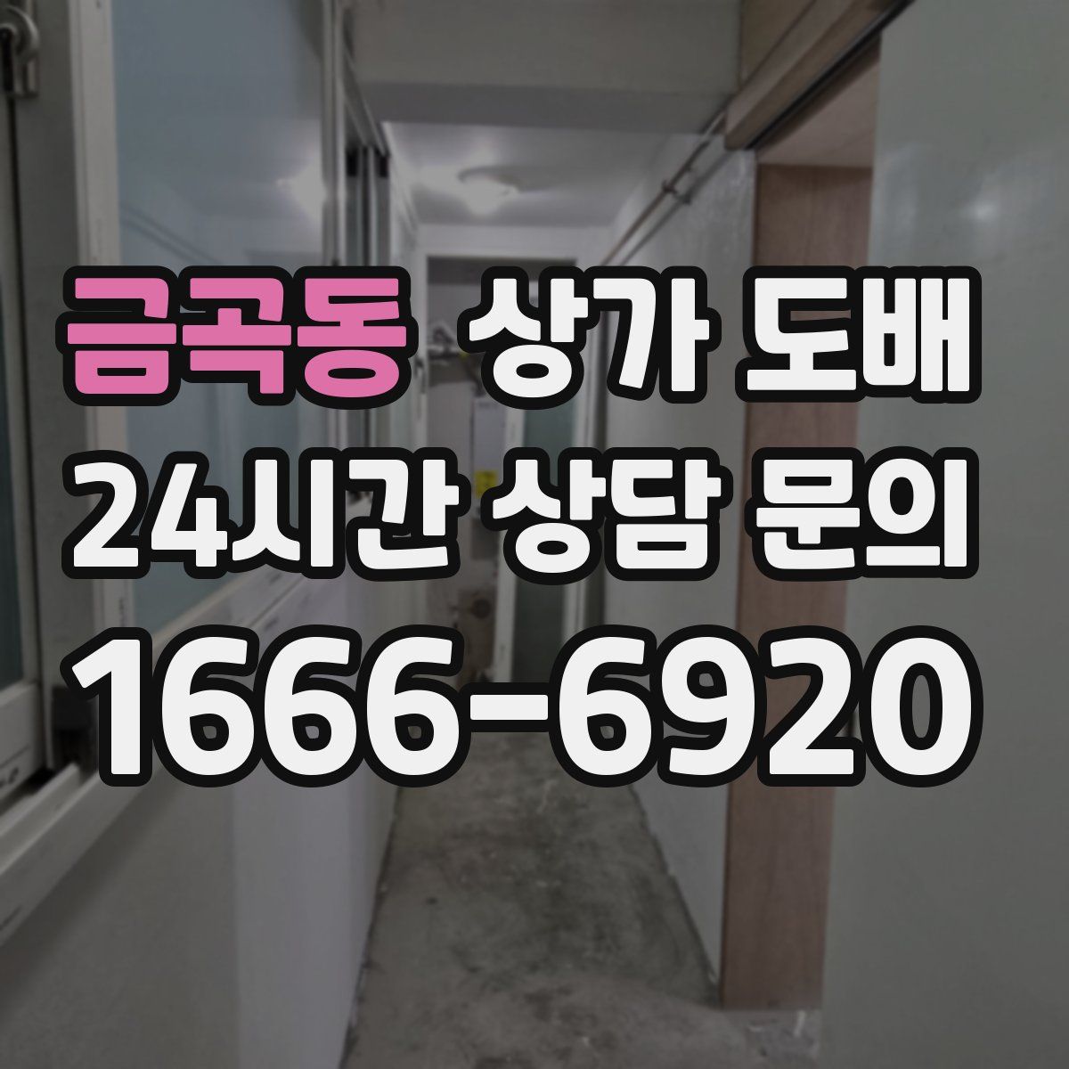 금곡동 상가 도배