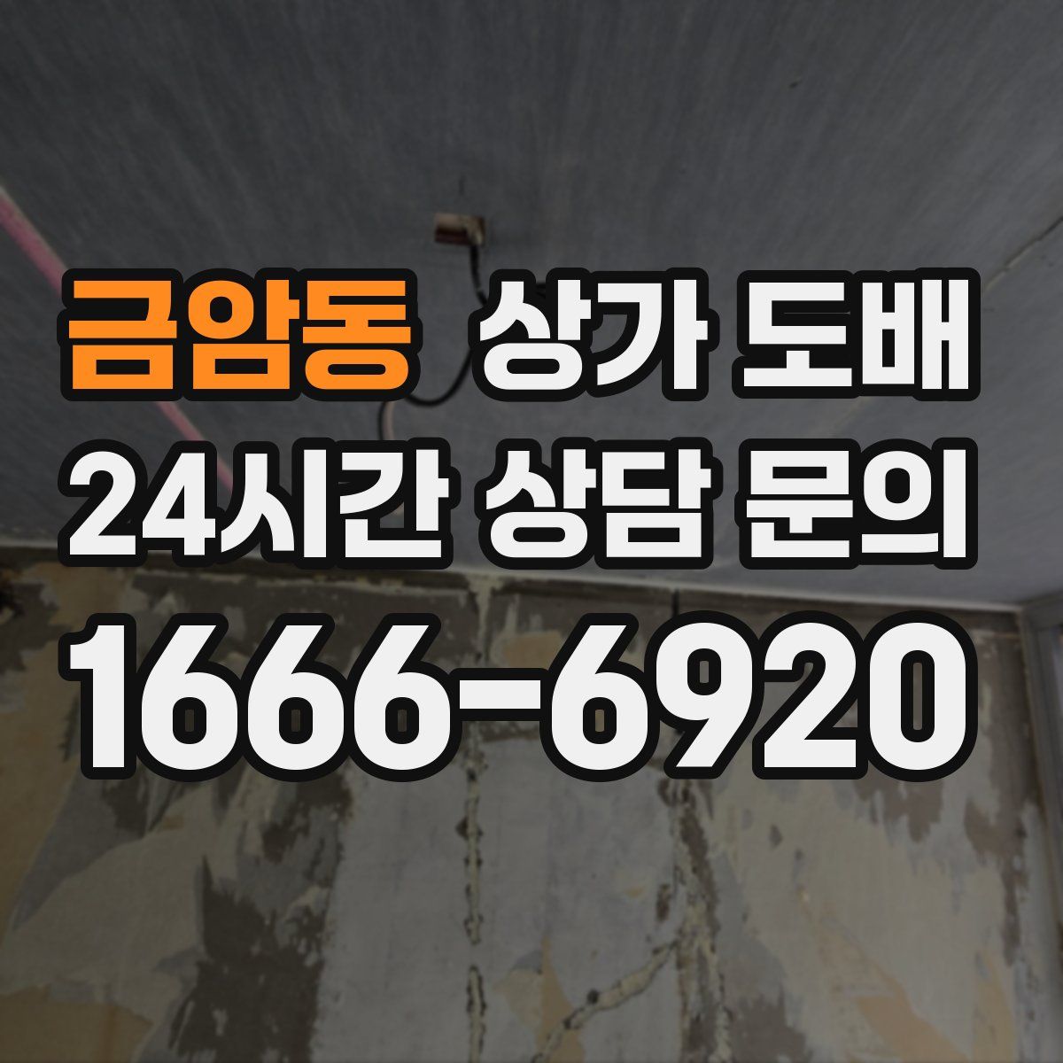 금암동 상가 도배