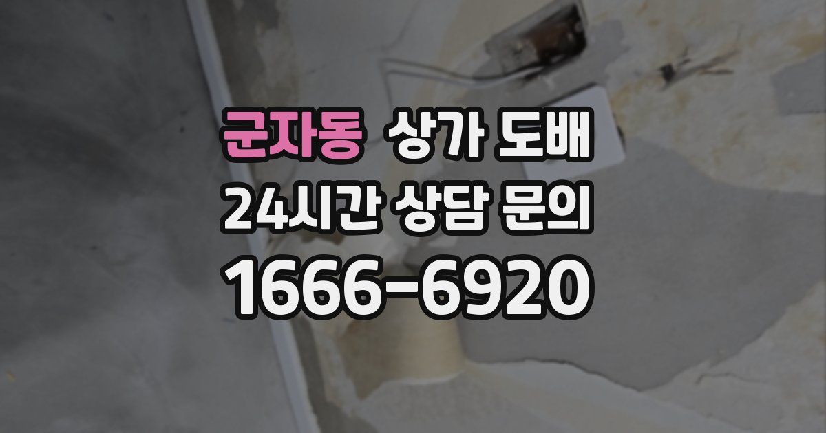 군자동 상가 도배