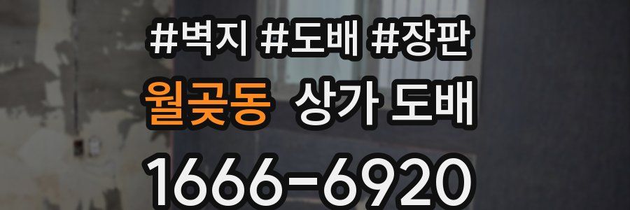 월곶동 상가 도배