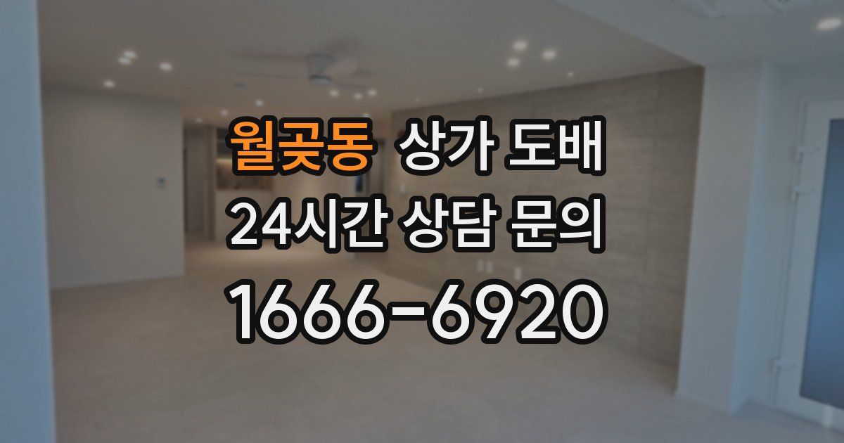 월곶동 상가 도배