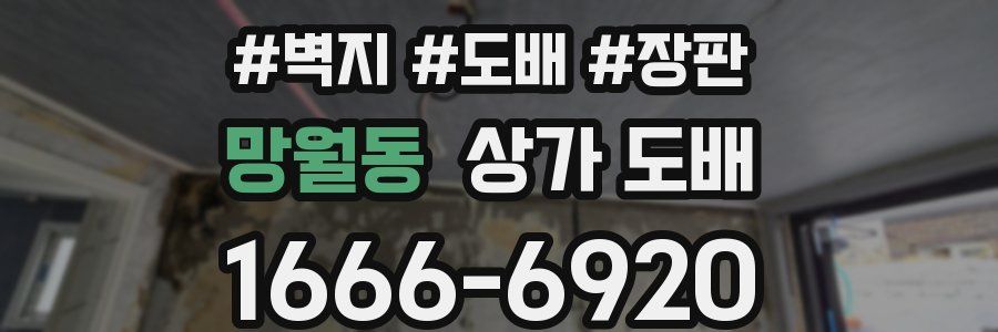 망월동 상가 도배