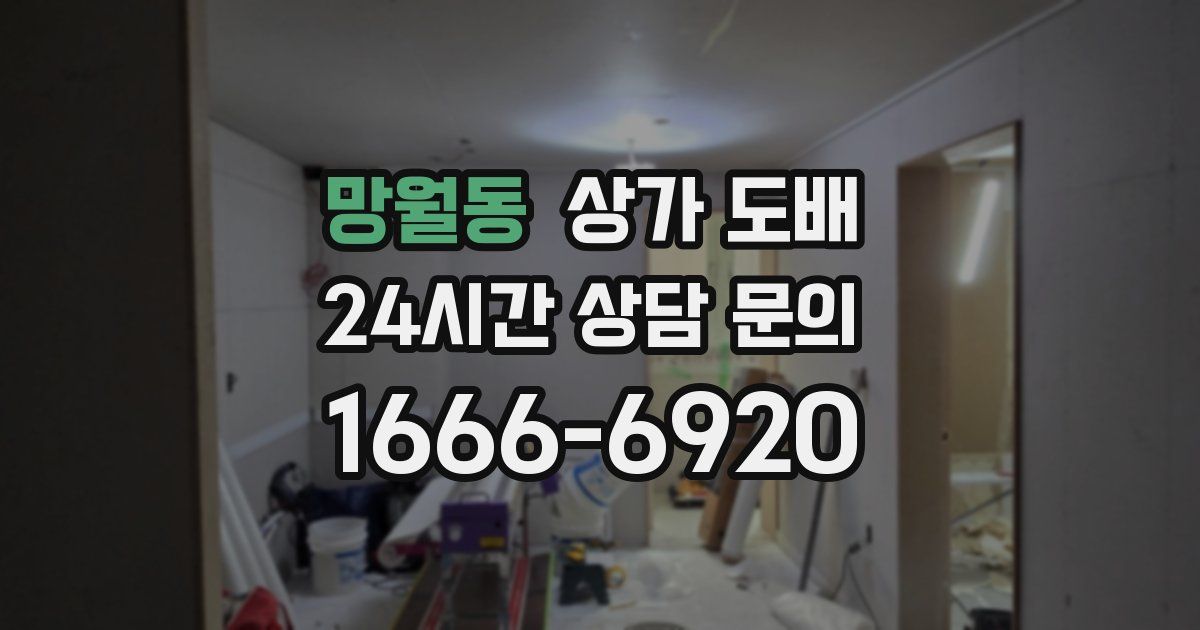망월동 상가 도배