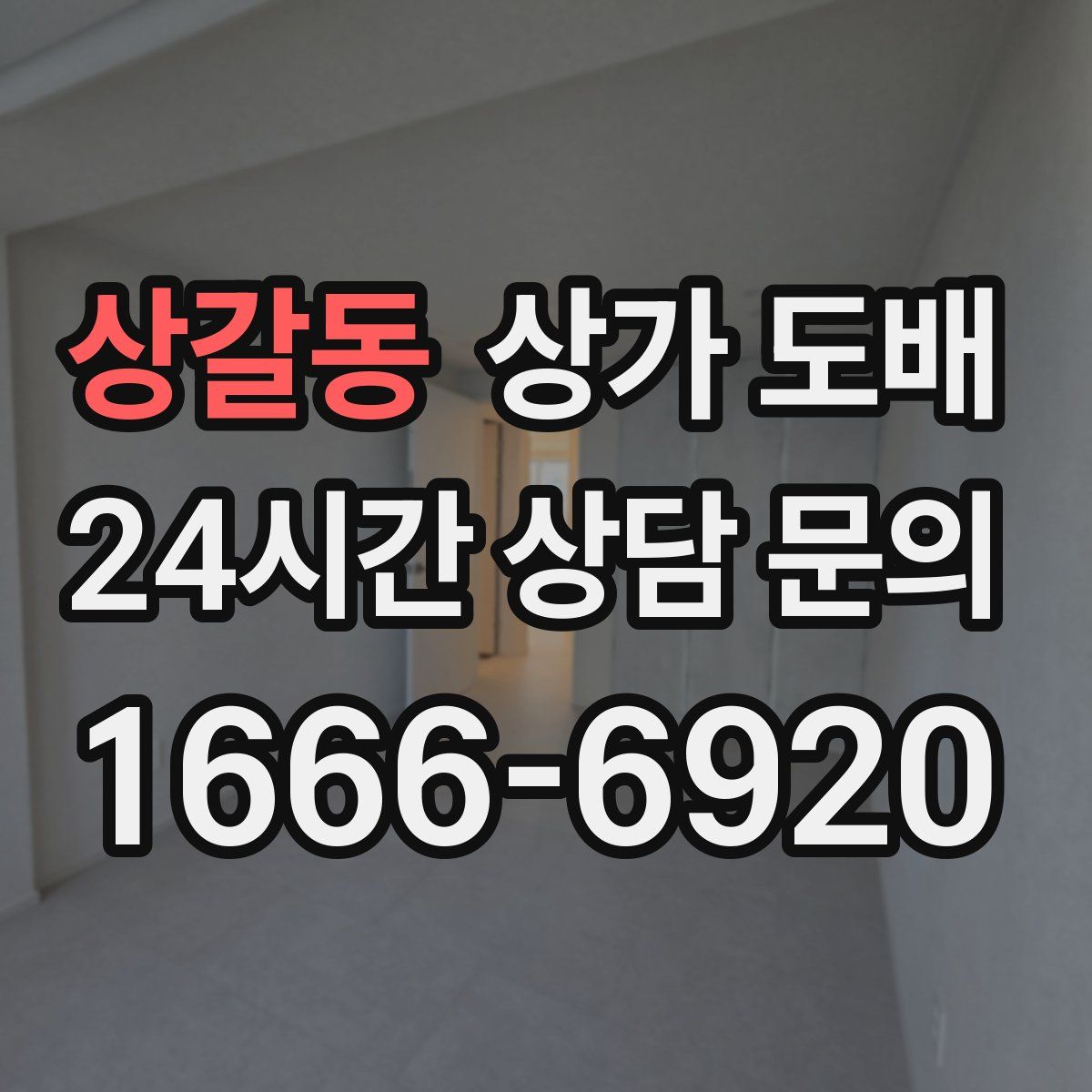 상갈동 상가 도배