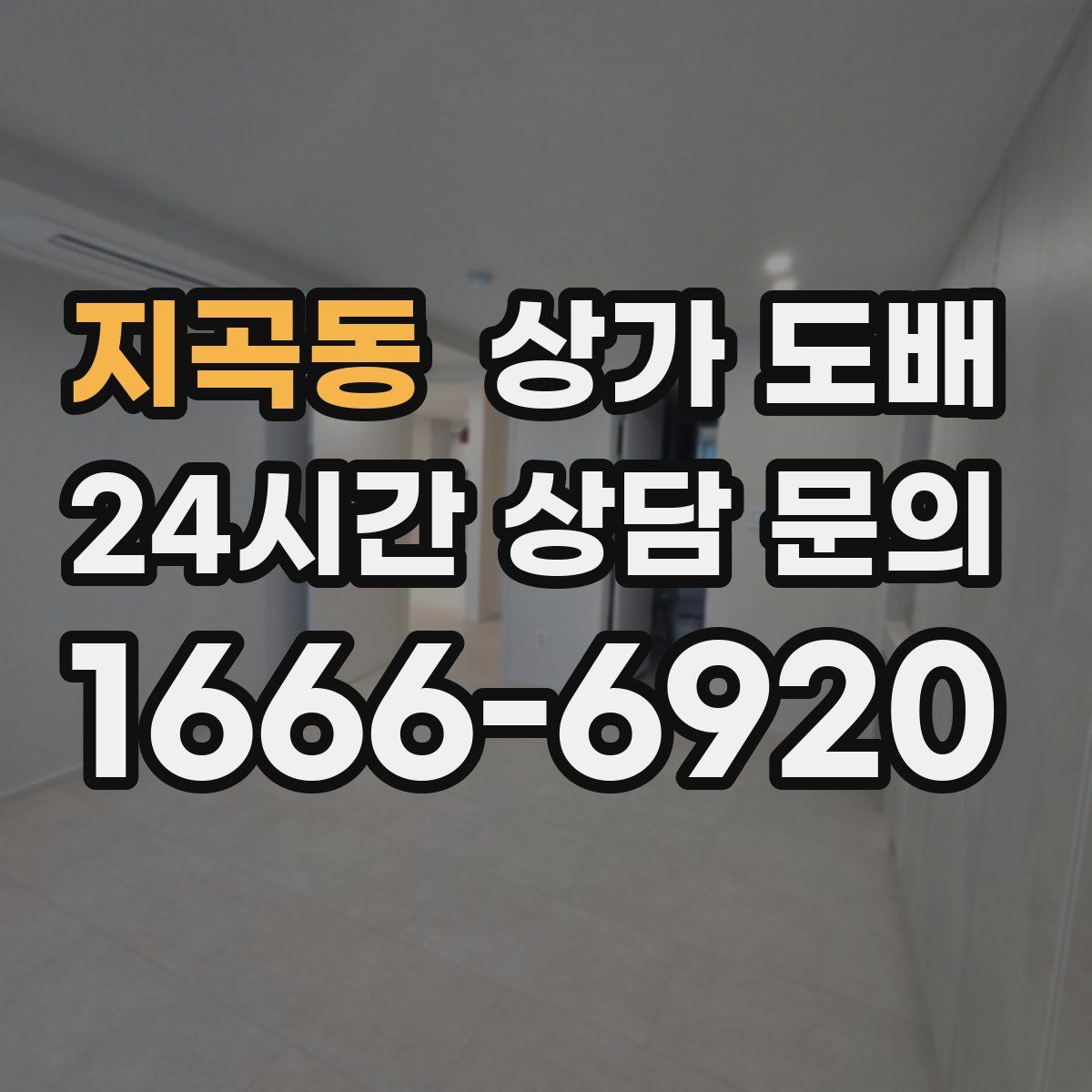 지곡동 상가 도배