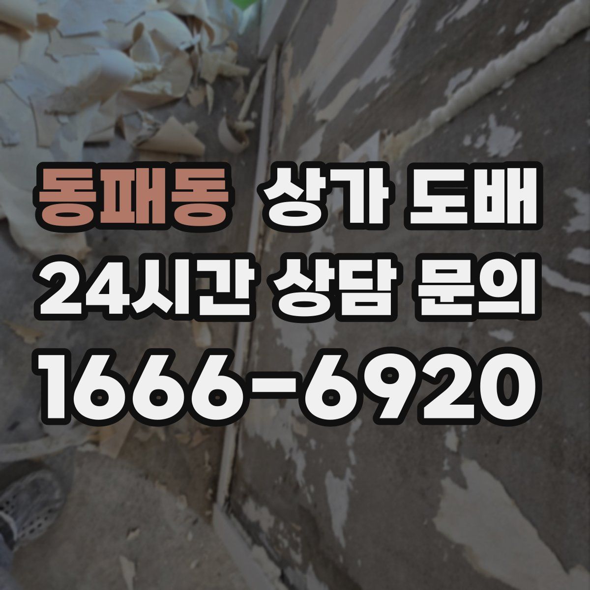 동패동 상가 도배