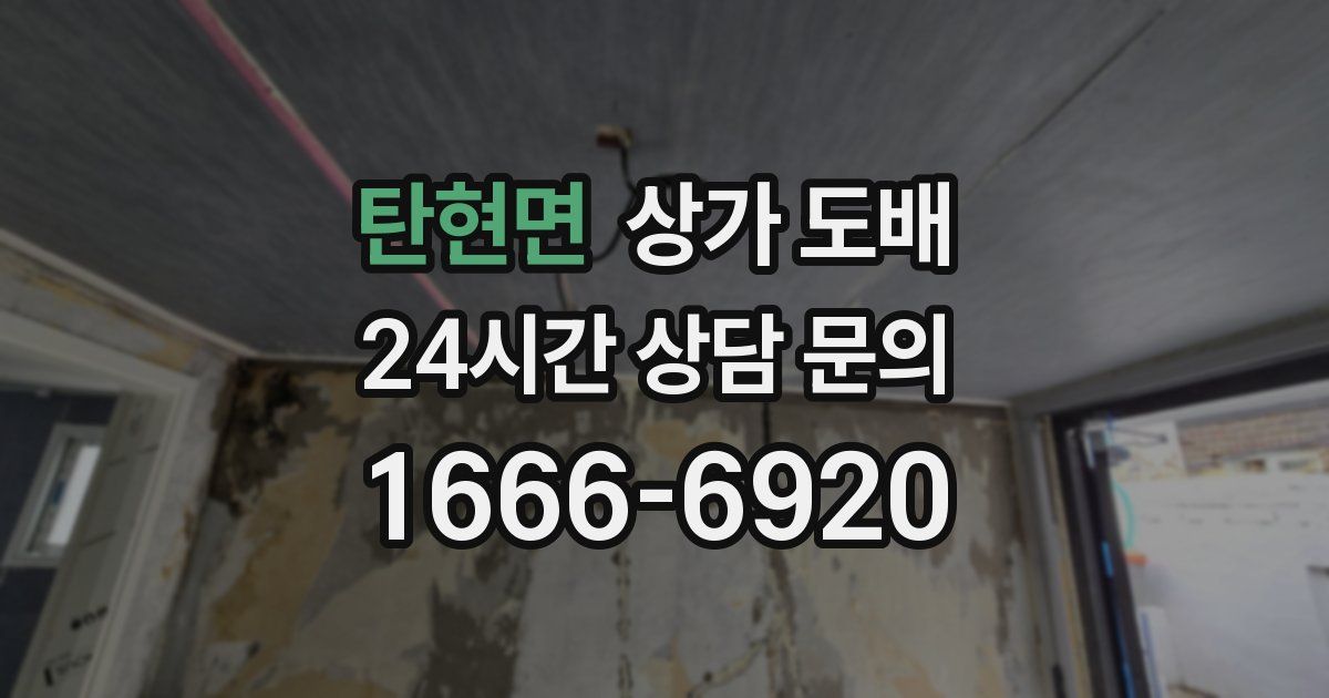 탄현면 상가 도배