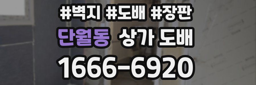 단월동 상가 도배