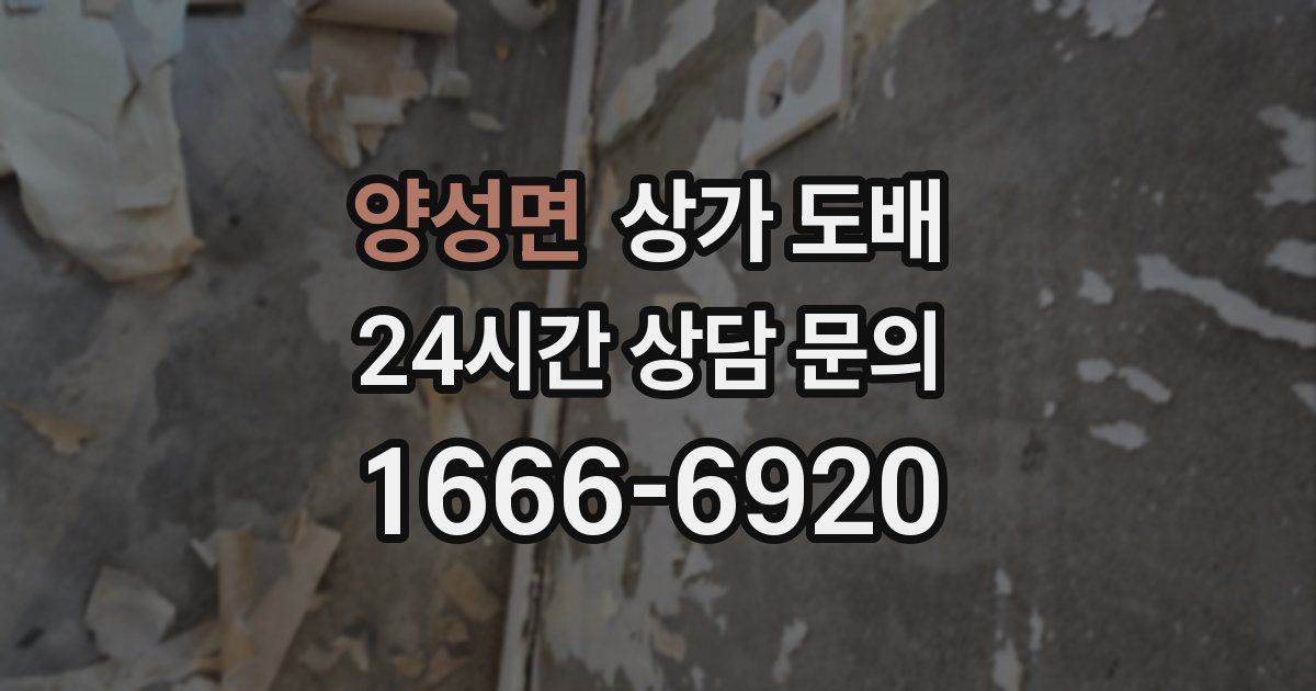 양성면 상가 도배