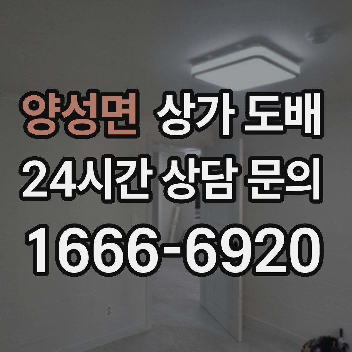 양성면 상가 도배