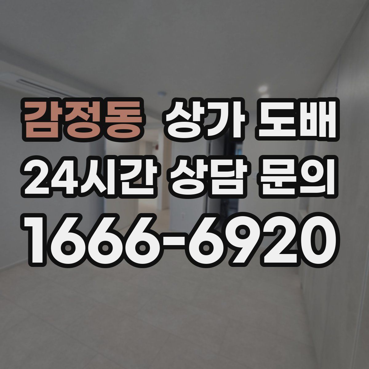 감정동 상가 도배