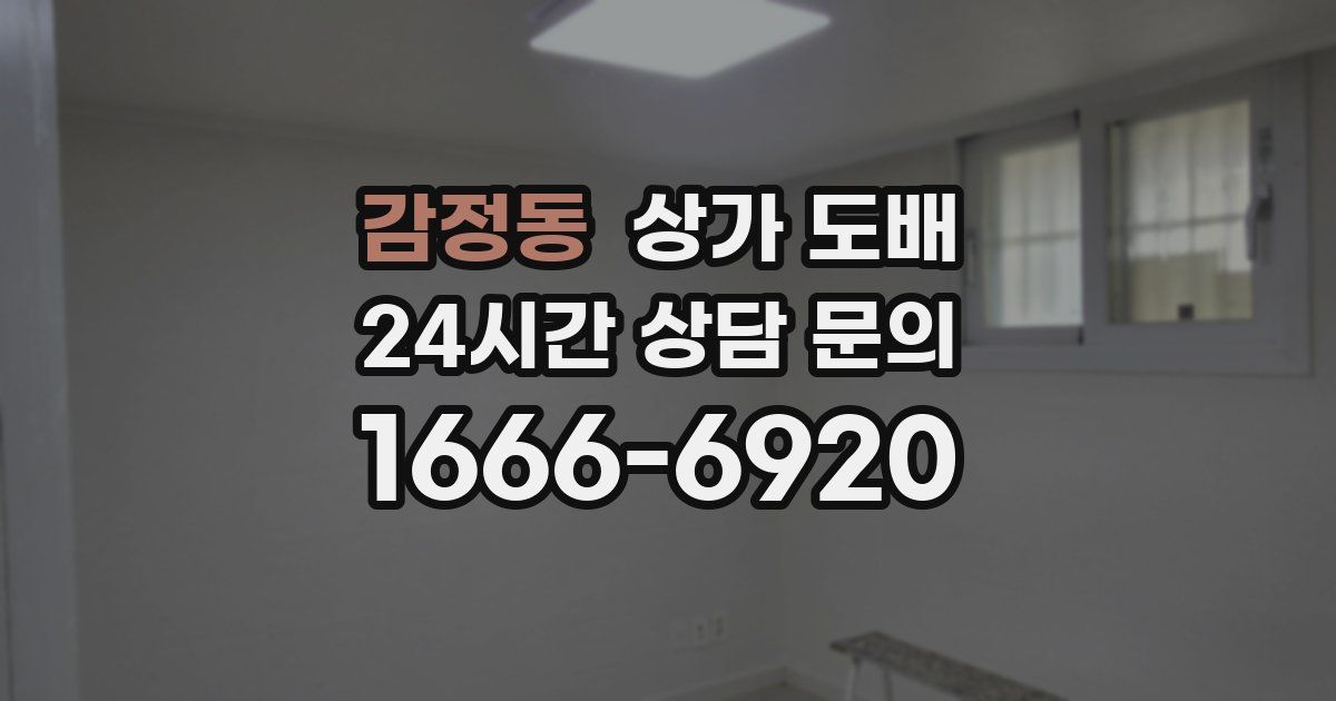 감정동 상가 도배
