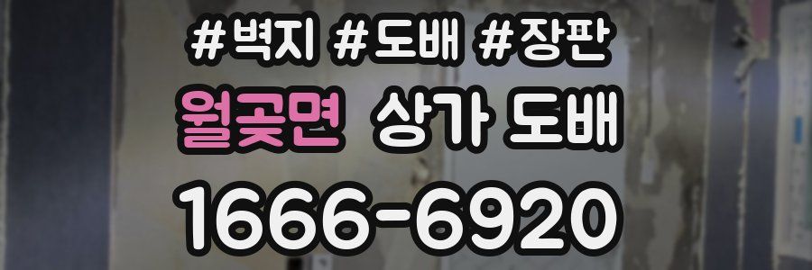 월곶면 상가 도배