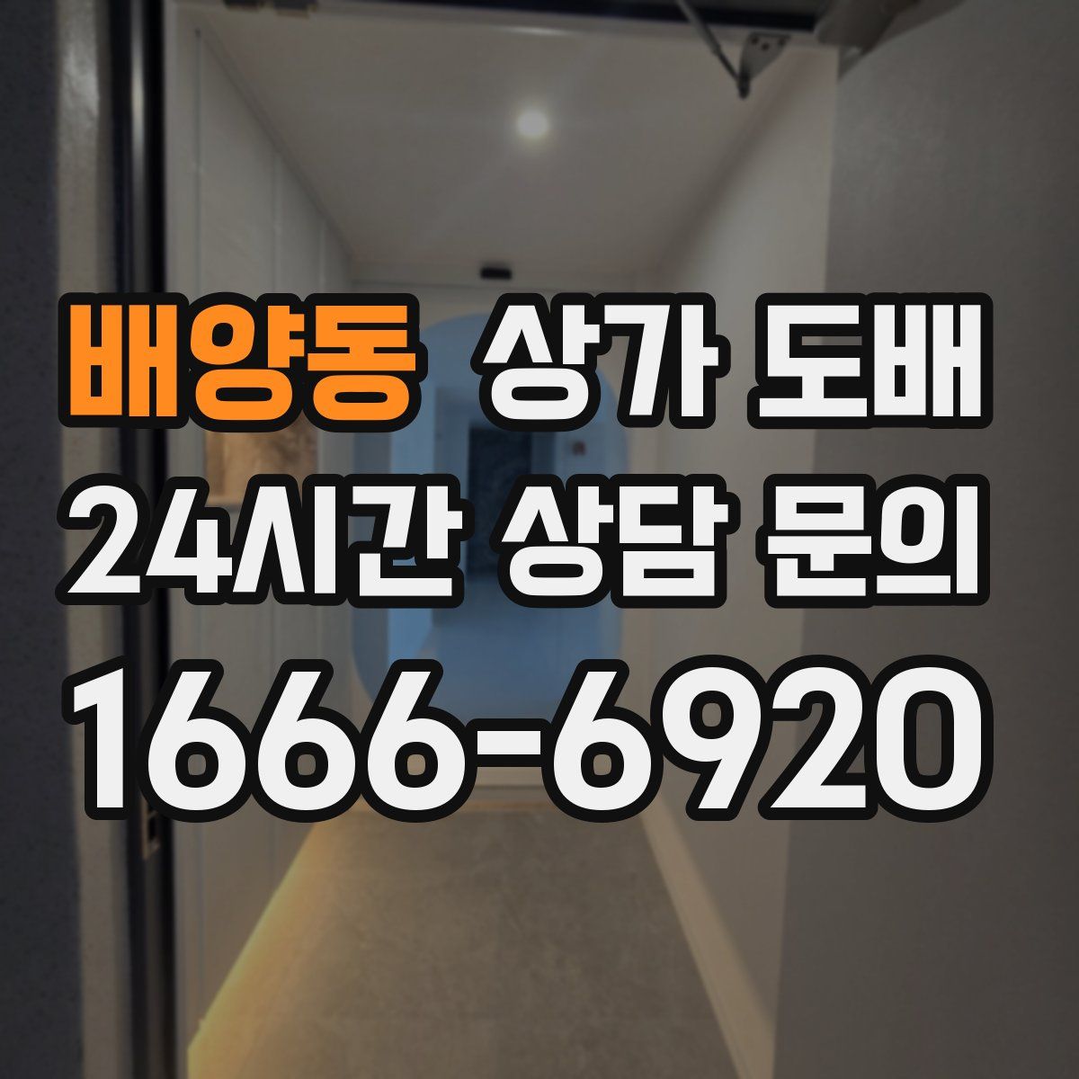 배양동 상가 도배