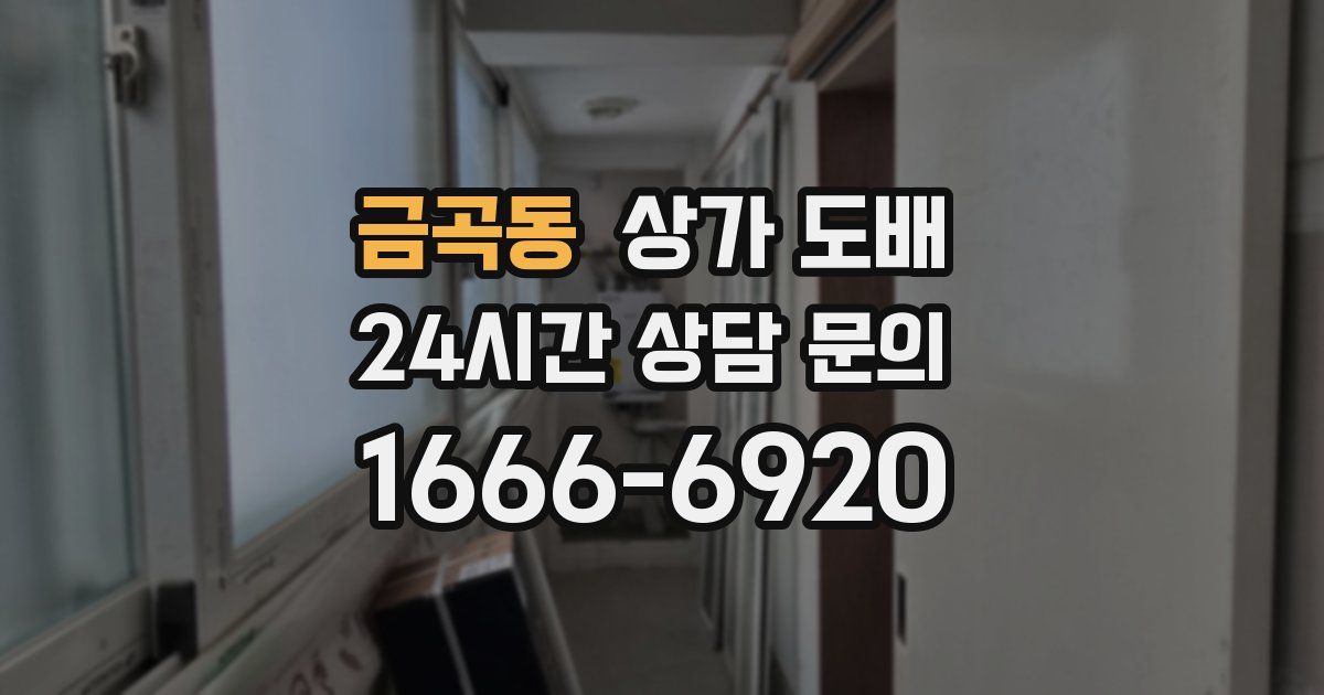 금곡동 상가 도배