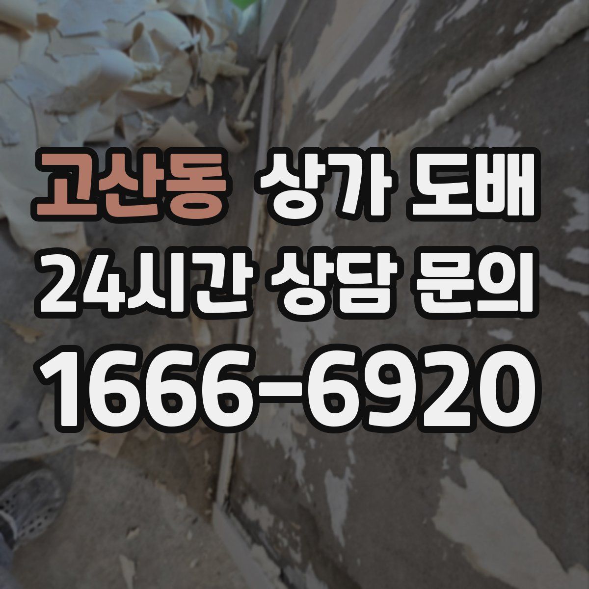 고산동 상가 도배