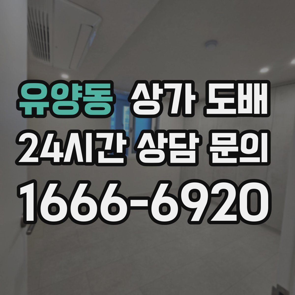 유양동 상가 도배