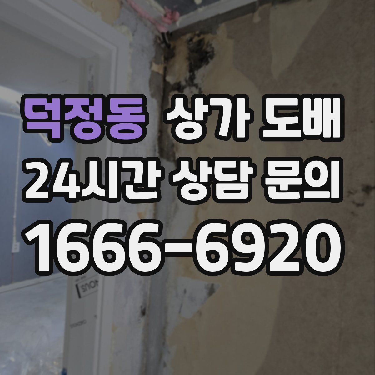 덕정동 상가 도배