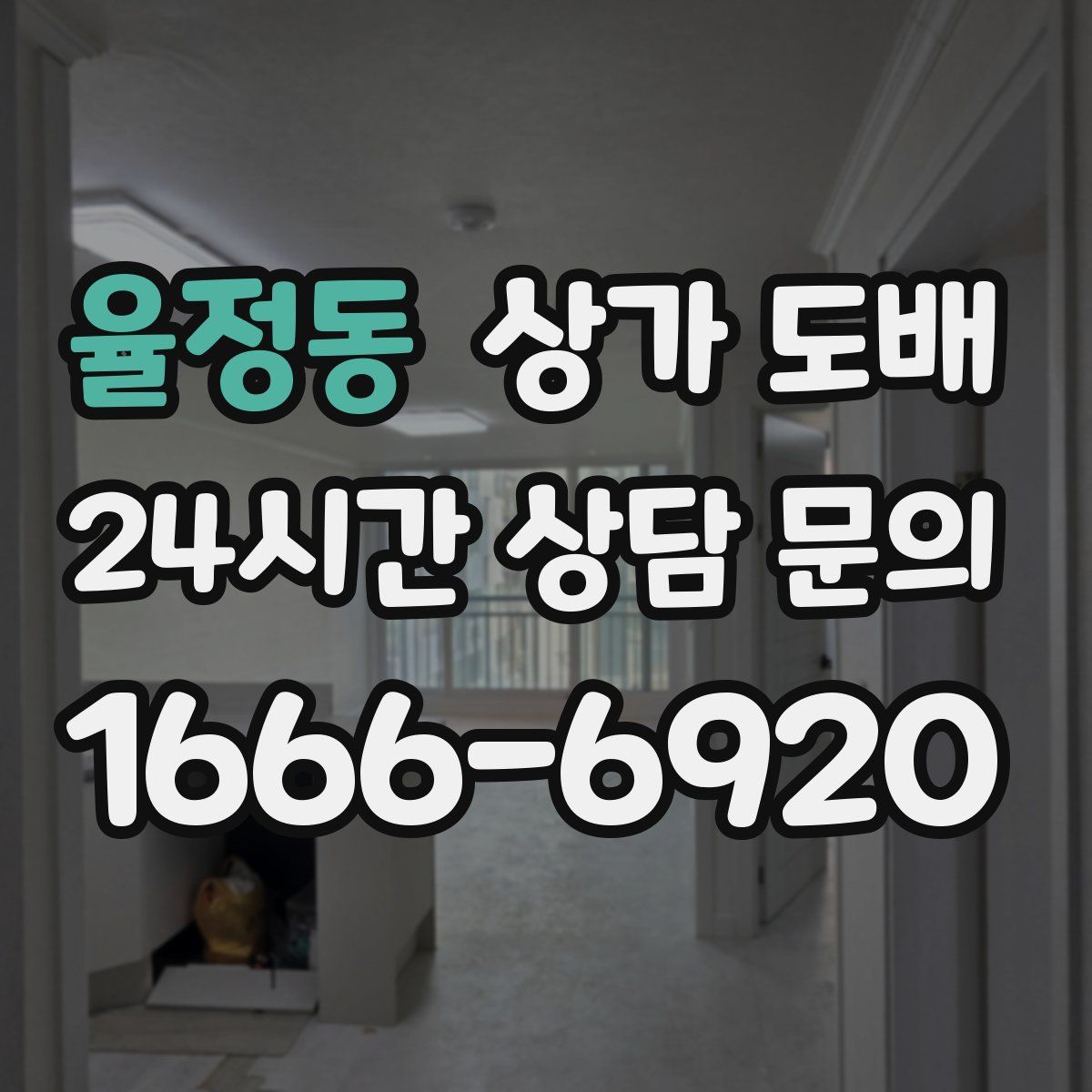 율정동 상가 도배