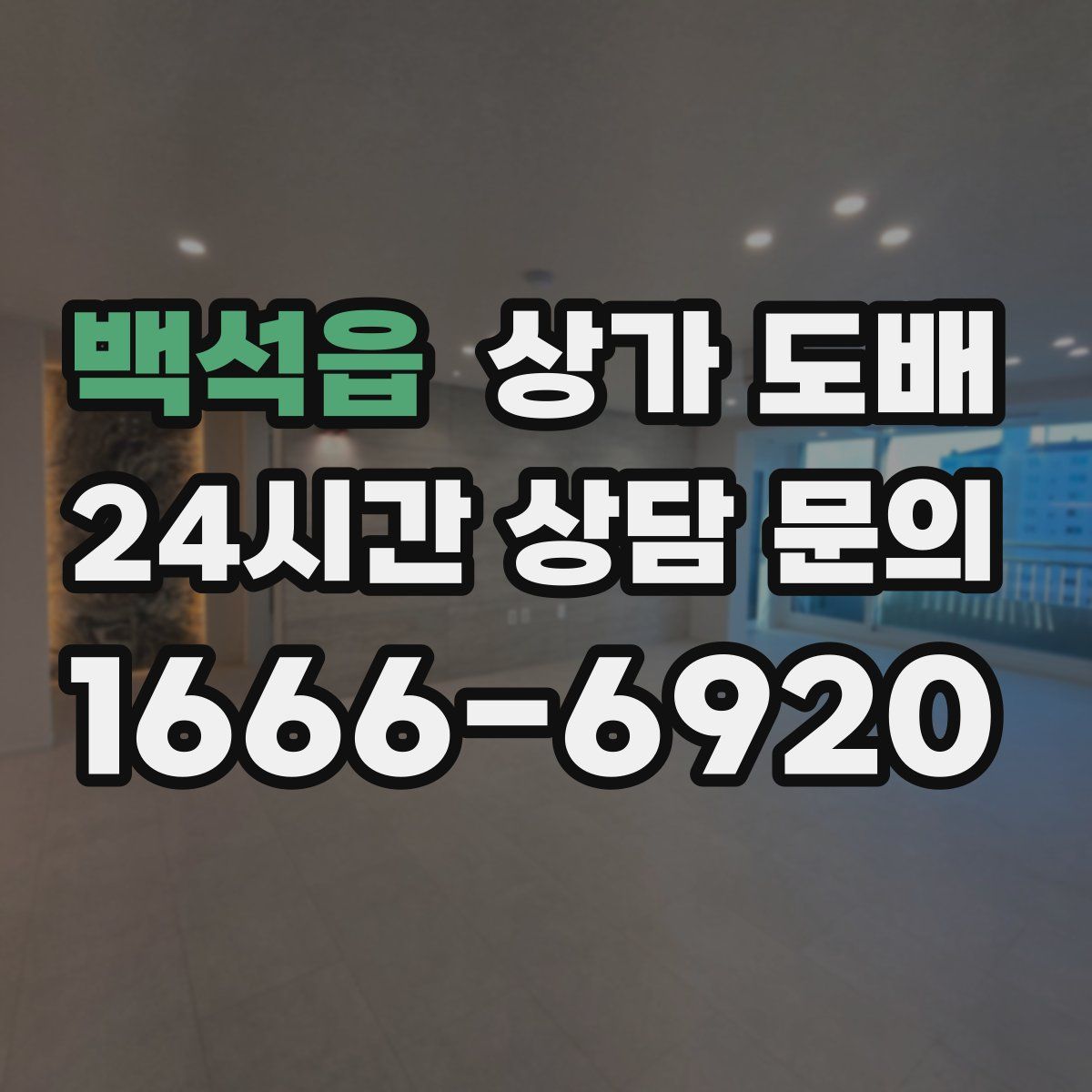 백석읍 상가 도배