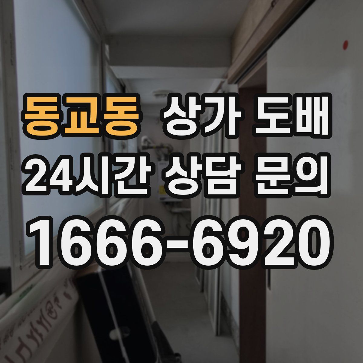 동교동 상가 도배