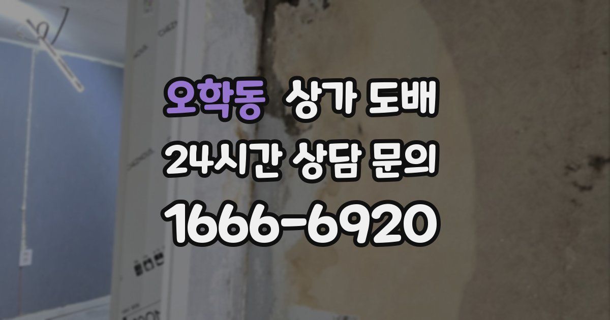 오학동 상가 도배