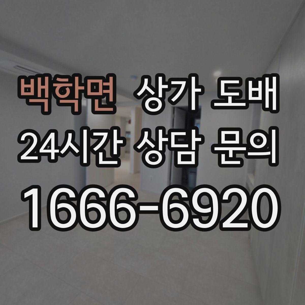백학면 상가 도배