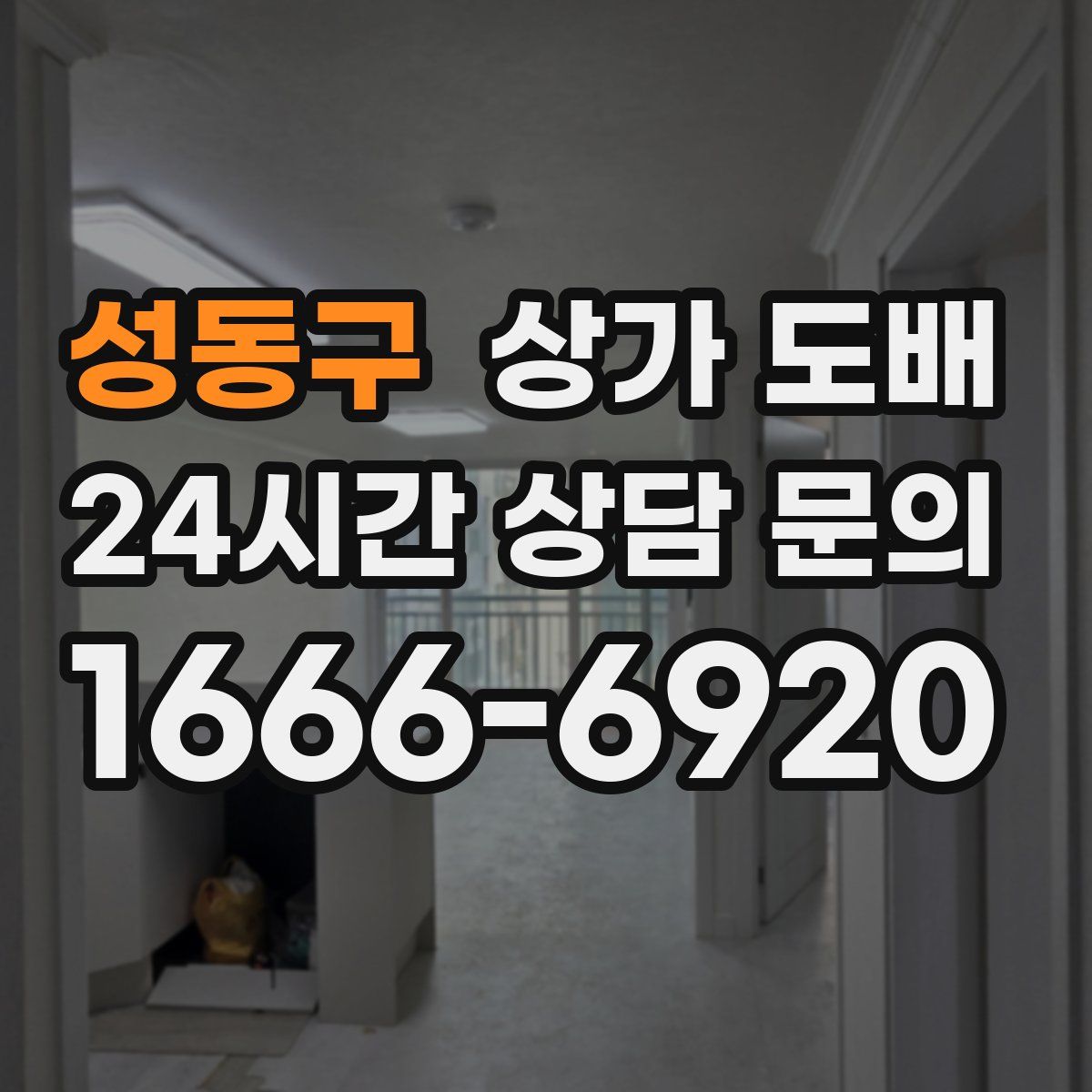 성동구 상가 도배