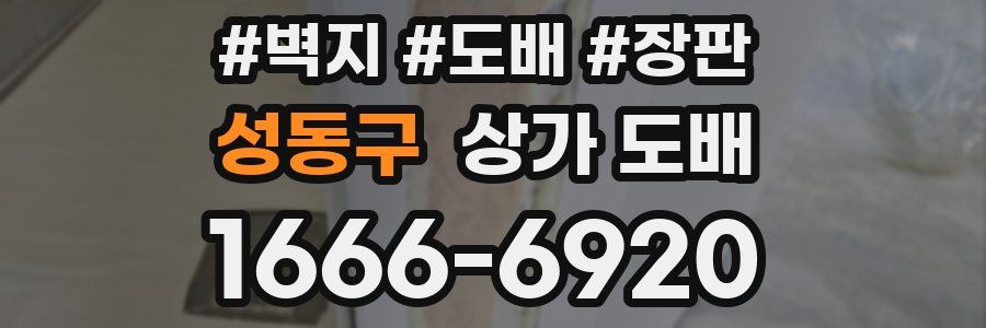 성동구 상가 도배