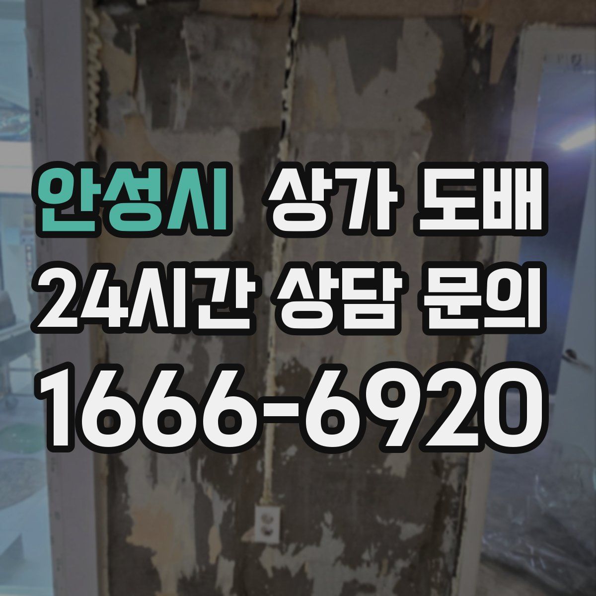 안성시 상가 도배