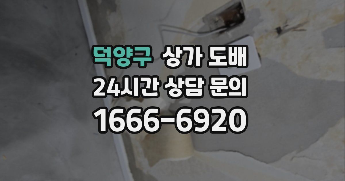 덕양구 상가 도배