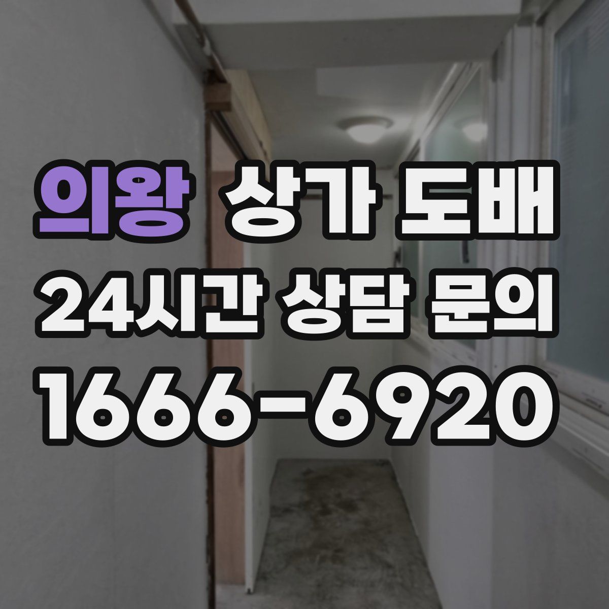의왕 상가 도배