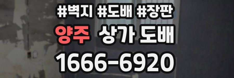 양주 상가 도배
