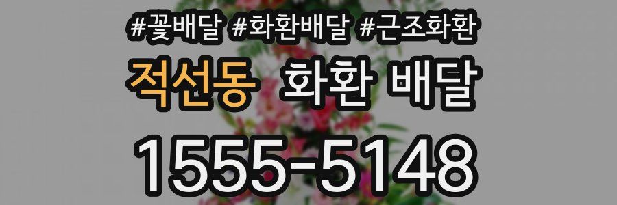적선동 화환 배달