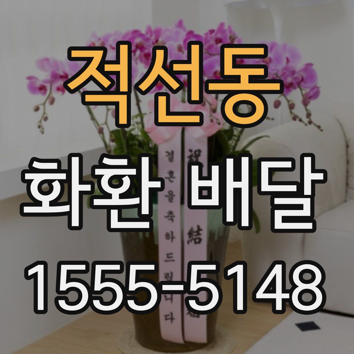 적선동 화환 배달