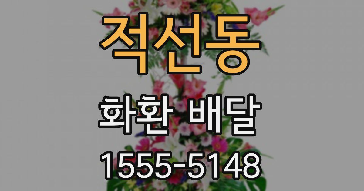 적선동 화환 배달