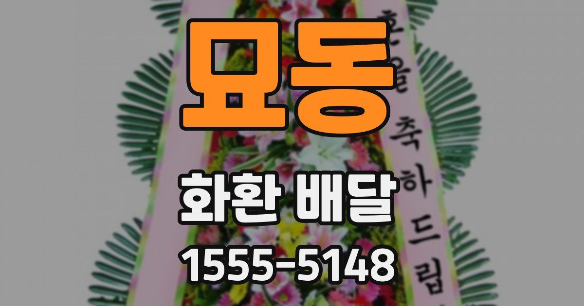 묘동 화환 배달