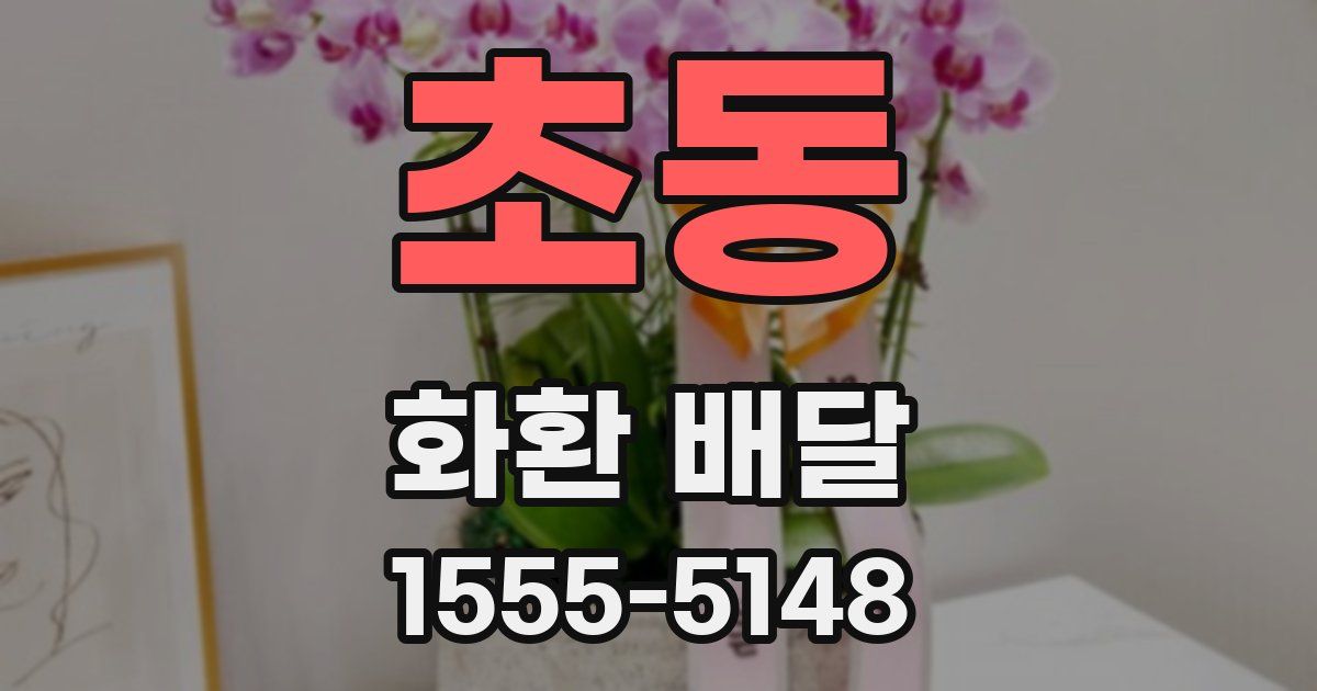 초동 화환 배달